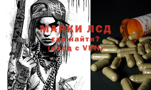 ГАЛЛЮЦИНОГЕННЫЕ ГРИБЫ Алзамай