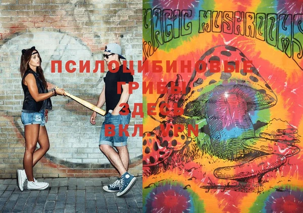 ГАЛЛЮЦИНОГЕННЫЕ ГРИБЫ Алзамай