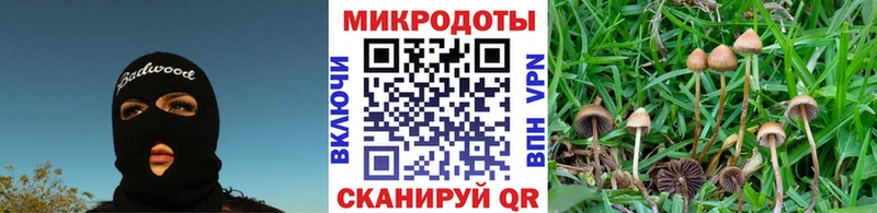 Псилоцибиновые грибы ЛСД  сколько стоит  Оханск 